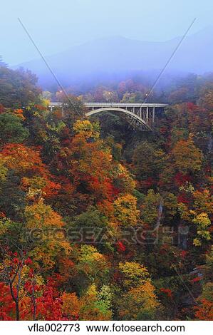 Stock Image - Autumn leaves. Fotosearch