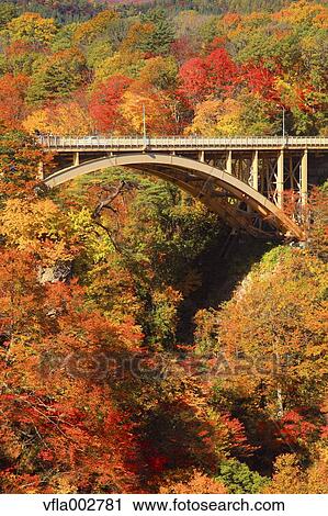 Stock Image - Autumn leaves. Fotosearch