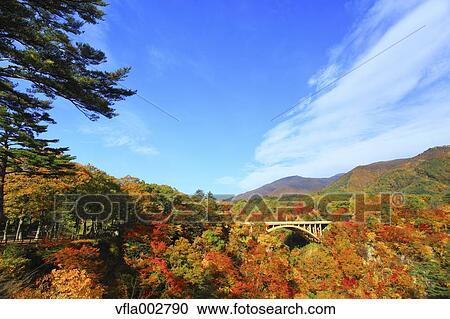 Autumn leaves View Large Photo Image Stock Image - Autumn leaves. Fotosearch