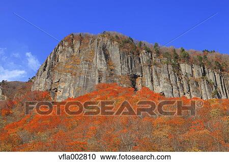 Stock Image - Autumn leaves. Fotosearch