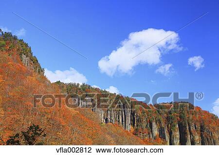 Autumn leaves View Large Photo Image Stock Image - Autumn leaves. Fotosearch