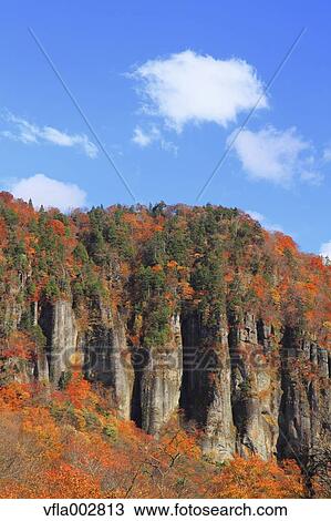Stock Image - Autumn leaves. Fotosearch