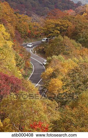 Stock Photo - Autumn leaves. Fotosearch