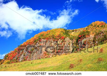 Autumn leaves View Large Photo Image Stock Photo - Autumn leaves. Fotosearch