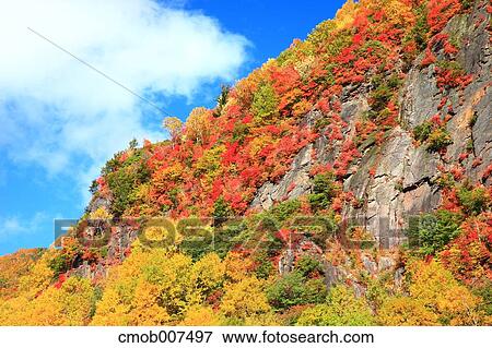 Autumn leaves View Large Photo Image Stock Photo - Autumn leaves. Fotosearch