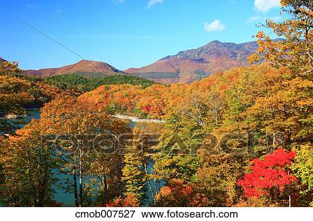 Autumn leaves View Large Photo Image Stock Photo - Autumn leaves. Fotosearch