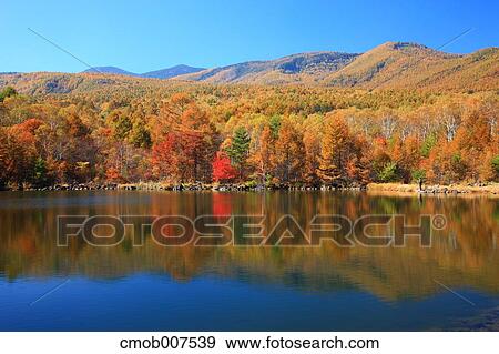 Autumn leaves View Large Photo Image Stock Photo - Autumn leaves. Fotosearch