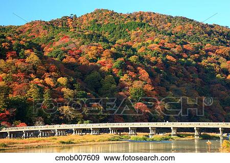 Autumn leaves View Large Photo Image Stock Photo - Autumn leaves. Fotosearch