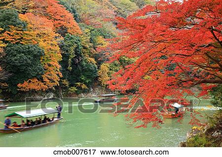 Autumn leaves View Large Photo Image Stock Photo - Autumn leaves. Fotosearch