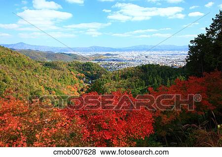 Autumn leaves View Large Photo Image Stock Photo - Autumn leaves. Fotosearch