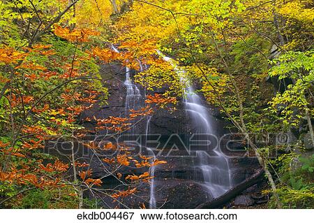 Autumn leaves View Large Photo Image Stock Photo - Autumn leaves. Fotosearch