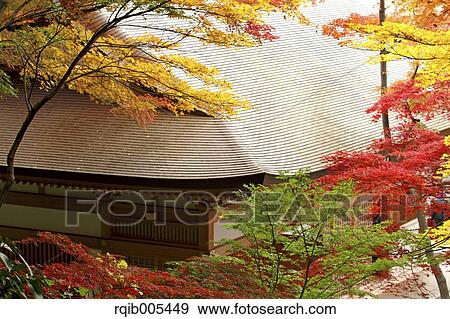 Stock Photo - Autumn leaves. Fotosearch