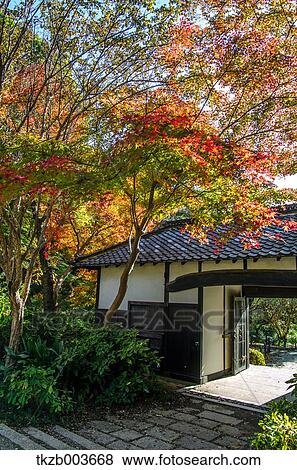 Stock Photo - Autumn leaves. Fotosearch