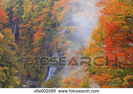 Autumn leaves View Large Photo Image Stock Photo - Autumn leaves. Fotosearch