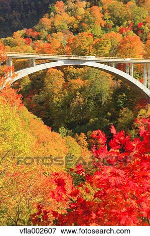 Autumn leaves View Large Photo Image Stock Photo - Autumn leaves. Fotosearch
