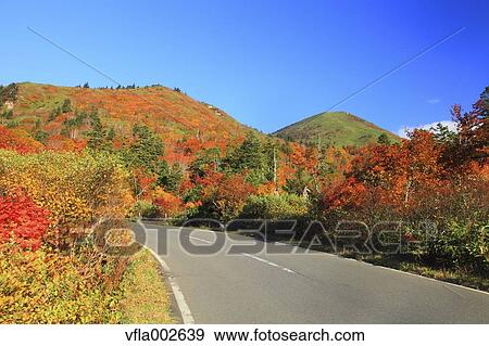 Autumn leaves View Large Photo Image Stock Photo - Autumn leaves. Fotosearch