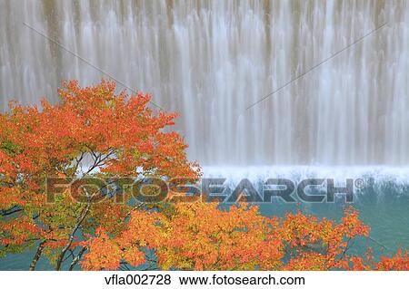 Stock Photo - Autumn leaves. Fotosearch