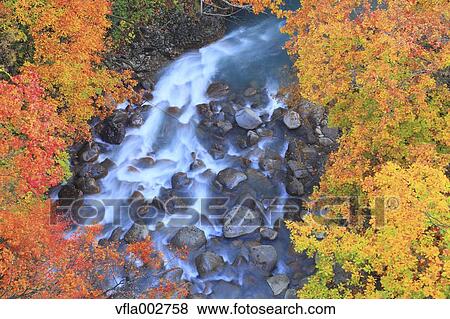 Autumn leaves View Large Photo Image Stock Photo - Autumn leaves. Fotosearch