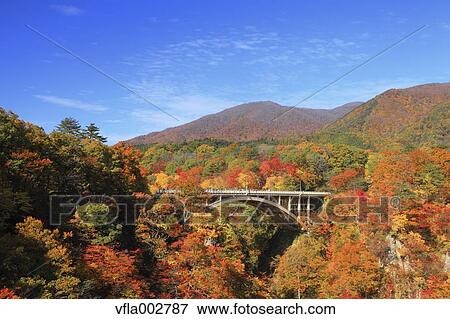 Autumn leaves View Large Photo Image Stock Photo - Autumn leaves. Fotosearch