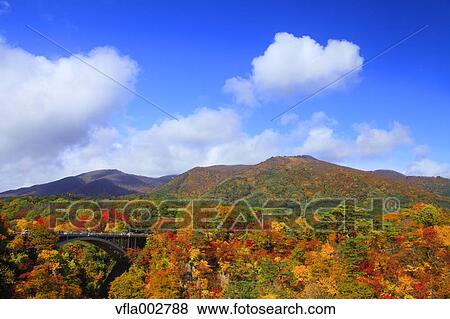 Autumn leaves View Large Photo Image Stock Photo - Autumn leaves. Fotosearch