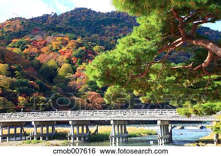 Stock Photograph - Autumn leaves. Fotosearch