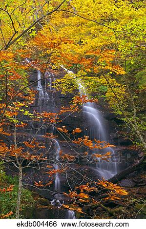 Autumn leaves View Large Photo Image Stock Photograph - Autumn leaves. Fotosearch