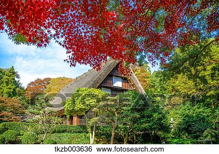 Autumn leaves View Large Photo Image Stock Photograph - Autumn leaves. Fotosearch