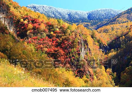 Autumn leaves View Large Photo Image Stock Photography - Autumn leaves. Fotosearch