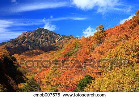 Autumn leaves View Large Photo Image Stock Photography - Autumn leaves. Fotosearch