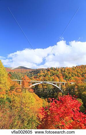 Stock Photography - Autumn leaves. Fotosearch