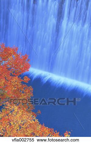 Stock Photography - Autumn leaves. Fotosearch