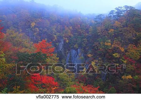 Autumn leaves View Large Photo Image Stock Photography - Autumn leaves. Fotosearch