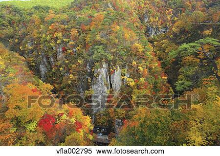 Autumn leaves View Large Photo Image Stock Photography - Autumn leaves. Fotosearch