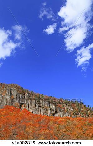 Autumn leaves View Large Photo Image Stock Photography - Autumn leaves. Fotosearch