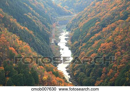 Autumn trees View Large Photo Image Stock Image - Autumn trees. Fotosearch