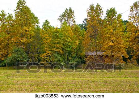 Autumn trees View Large Photo Image Stock Image - Autumn trees. Fotosearch