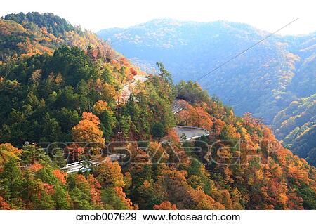 Autumn trees View Large Photo Image Stock Photo - Autumn trees. Fotosearch