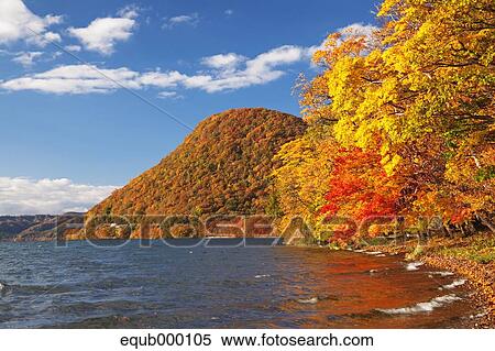 Autumn trees View Large Photo Image Stock Photography - Autumn trees. Fotosearch