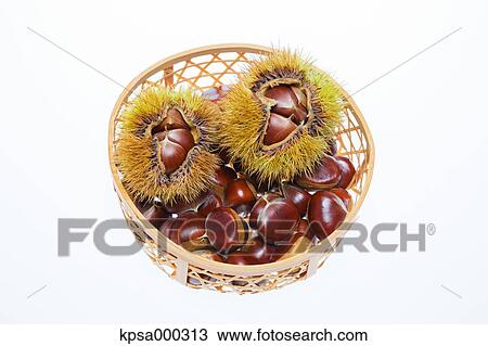 Chestnuts View Large Photo Image Stock Image - Chestnuts. Fotosearch