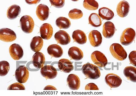 Stock Photo - Chestnuts. Fotosearch