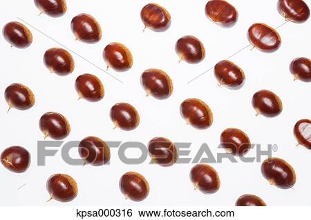 Chestnuts View Large Photo Image Stock Photograph - Chestnuts. Fotosearch