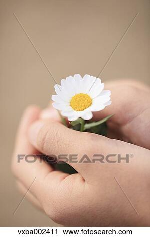 Stock Image - Child holding flower. Fotosearch