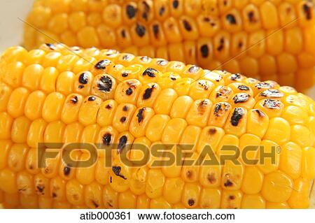 Corn View Large Photo Image Stock Image - Corn. Fotosearch