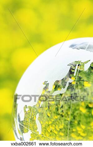 Crystal globe in rapeseed field View Large Photo Image Stock Image - Crystal globe in rapeseed field. Fotosearch