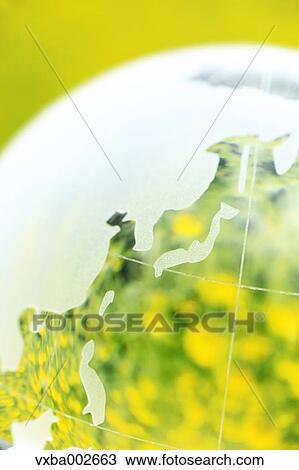 Crystal globe in rapeseed field View Large Photo Image Stock Image - Crystal globe in rapeseed field. Fotosearch