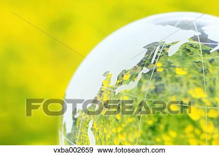 Crystal globe in rapeseed field View Large Photo Image Stock Photo - Crystal globe in rapeseed field. Fotosearch