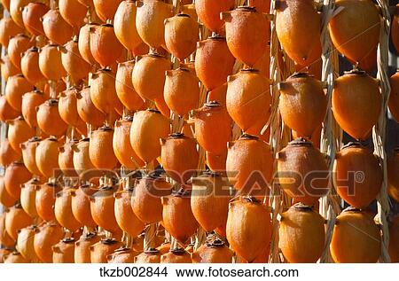 Dried persimmon View Large Photo Image Picture - Dried persimmon. Fotosearch