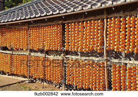 Dried Persimmon View Large Photo Image Stock Image - Dried Persimmon. Fotosearch