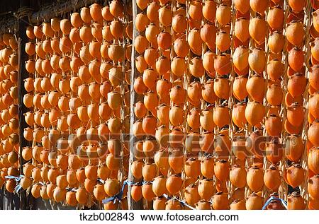 Dried Persimmon View Large Photo Image Stock Image - Dried Persimmon. Fotosearch