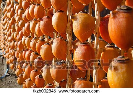 Dried Persimmon View Large Photo Image Stock Photography - Dried Persimmon. Fotosearch